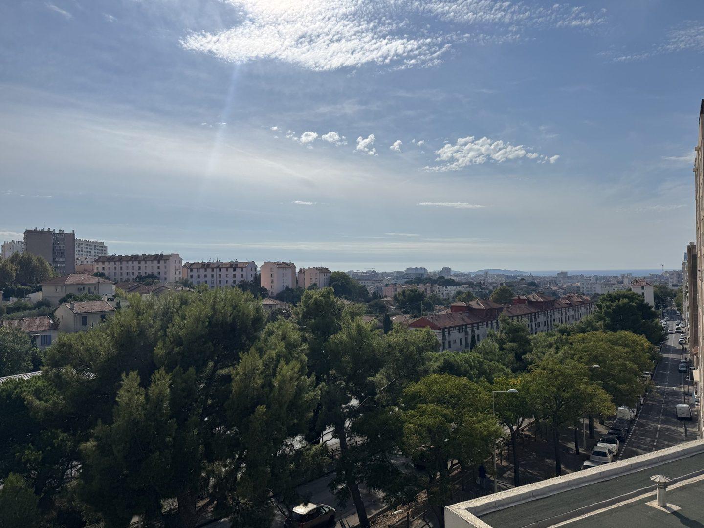 Flat Rue Chalusset in Marseille