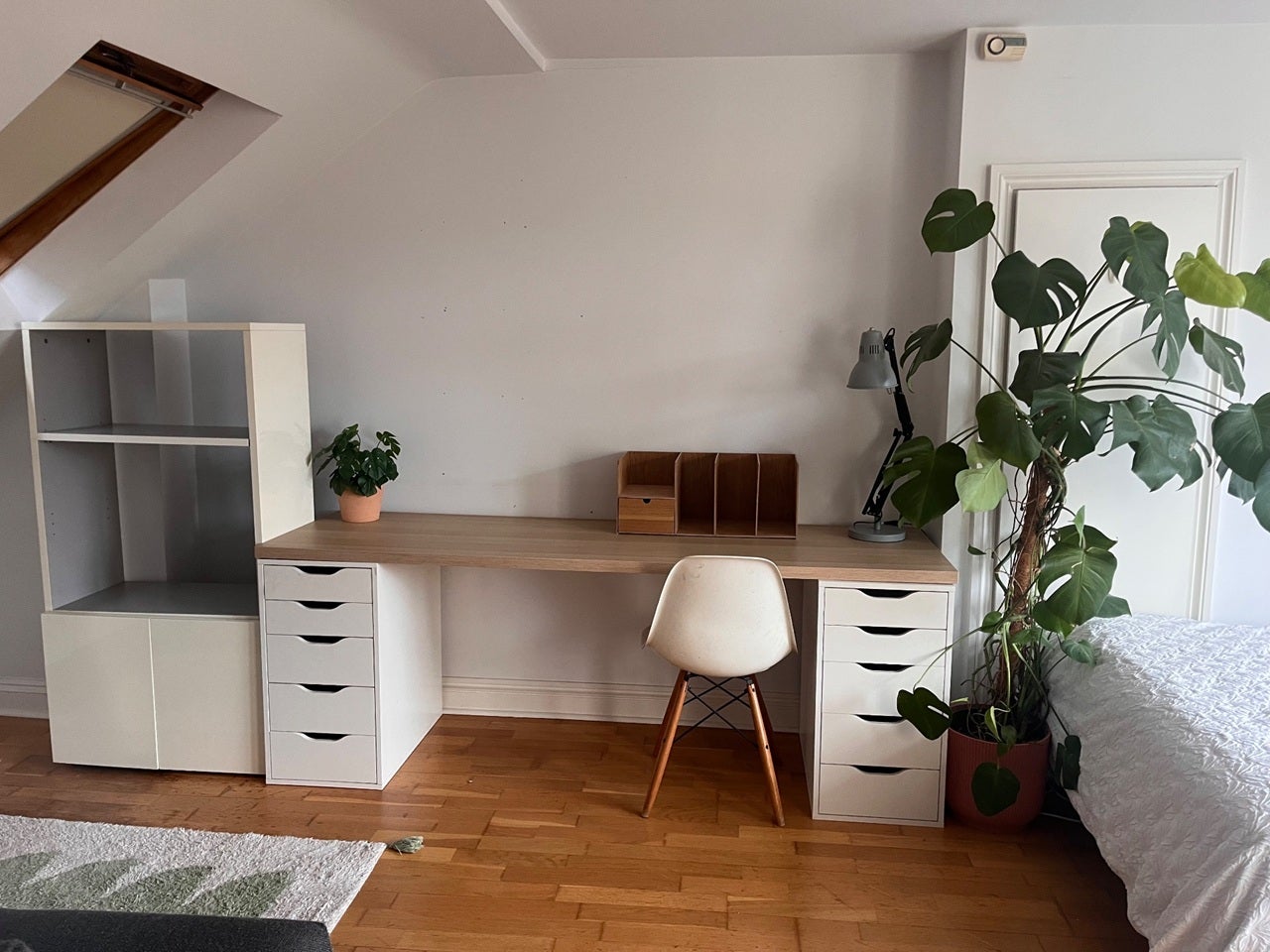Room Sylvester Road in Greater London