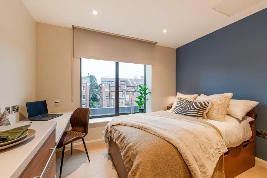 Flat Elmwood Avenue in Belfast