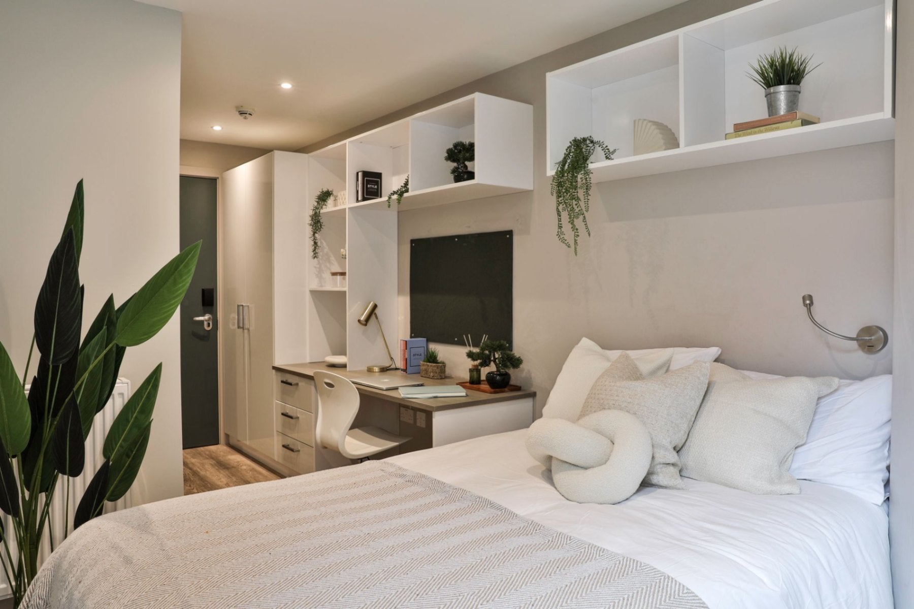 Room Buccleuch Street in City of Edinburgh