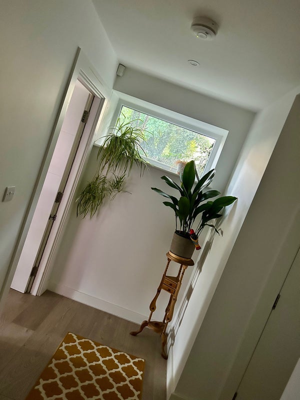 Room Honor Oak Road in Greater London