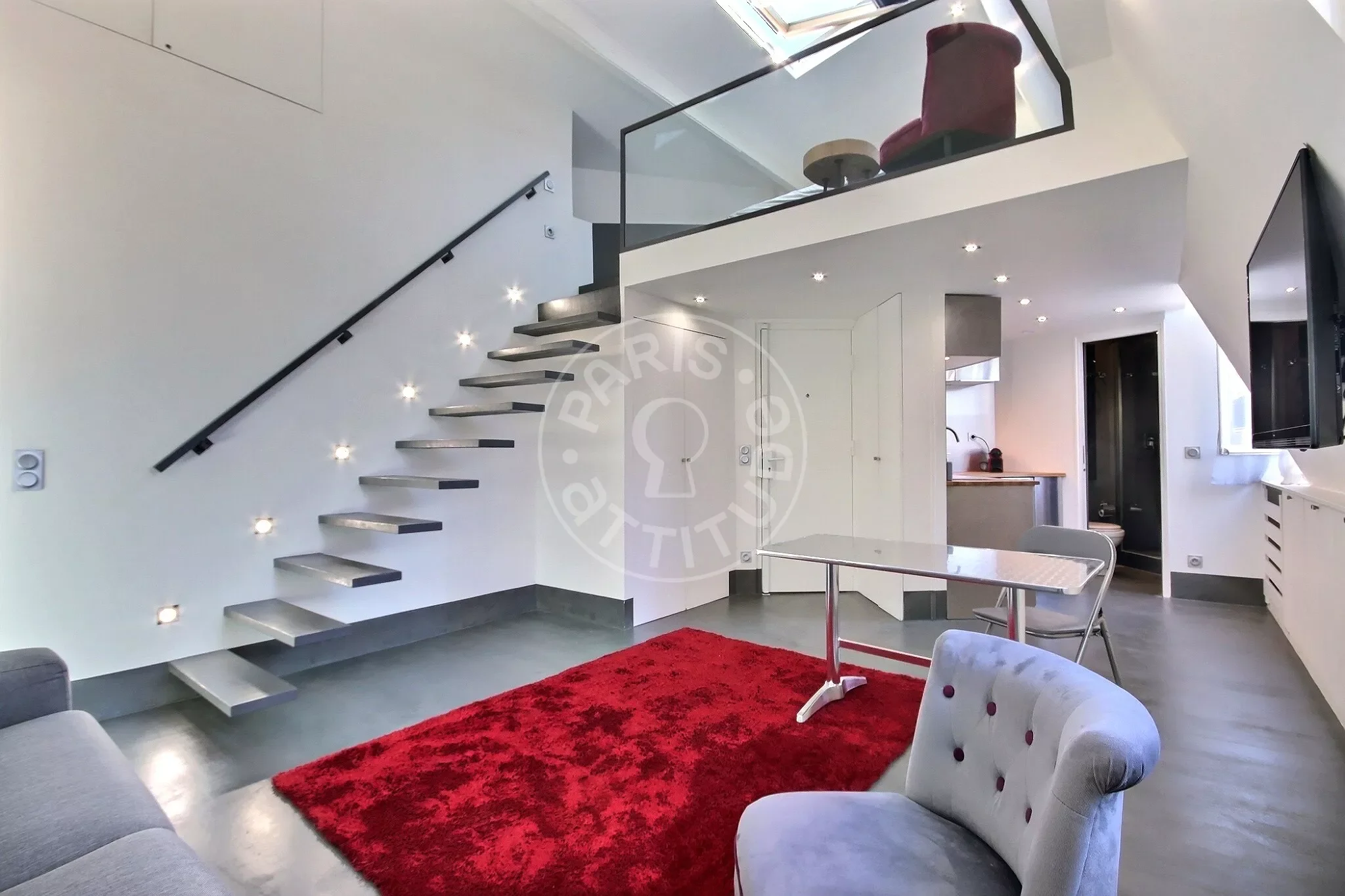 Flat Rue Danton in Paris