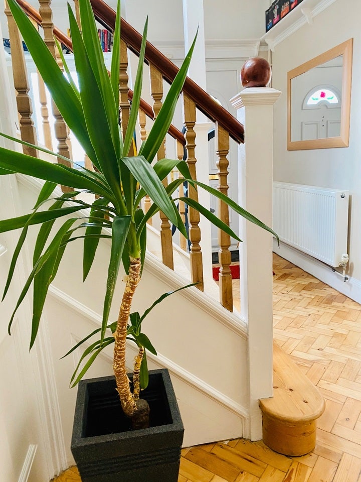 Room Westwell Road in Greater London