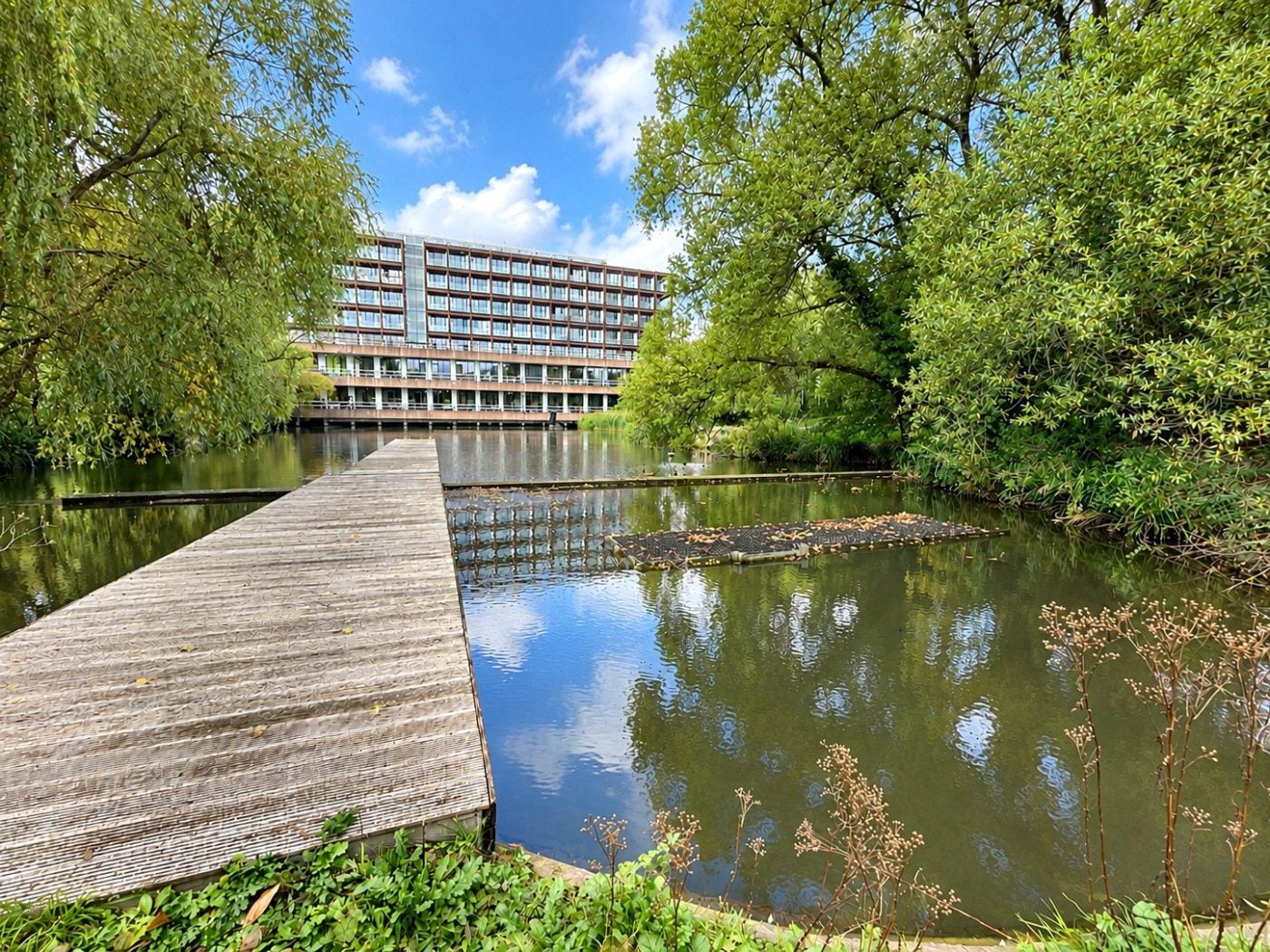 Flat Wills Way in Bristol