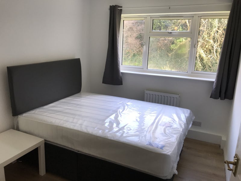 Room Stortford Hall Park in East Hertfordshire