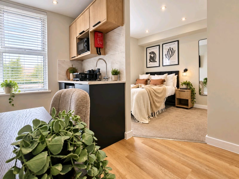 Room Belle Vue Road in Ipswich
