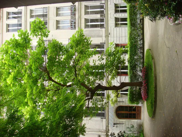 Chambre Avenue Victor Hugo à Paris