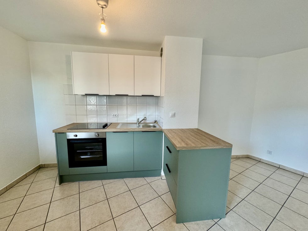 Appartement Boulevard Yves Farge à Lyon