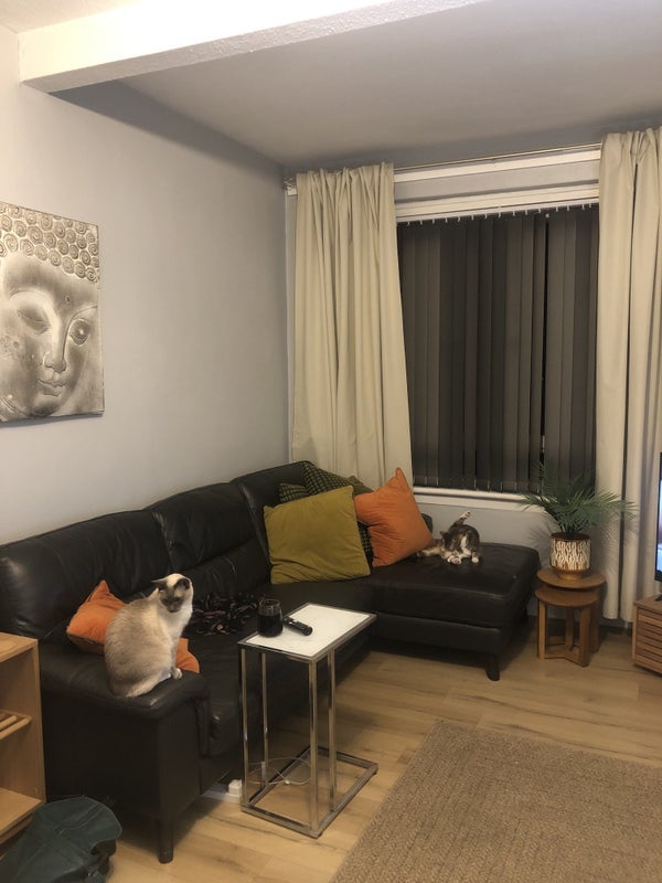 Room Boswall Terrace in City of Edinburgh