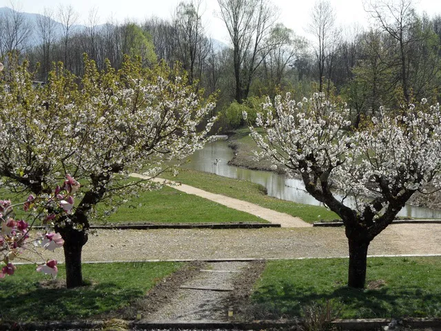 Room Route des Granges in Vions