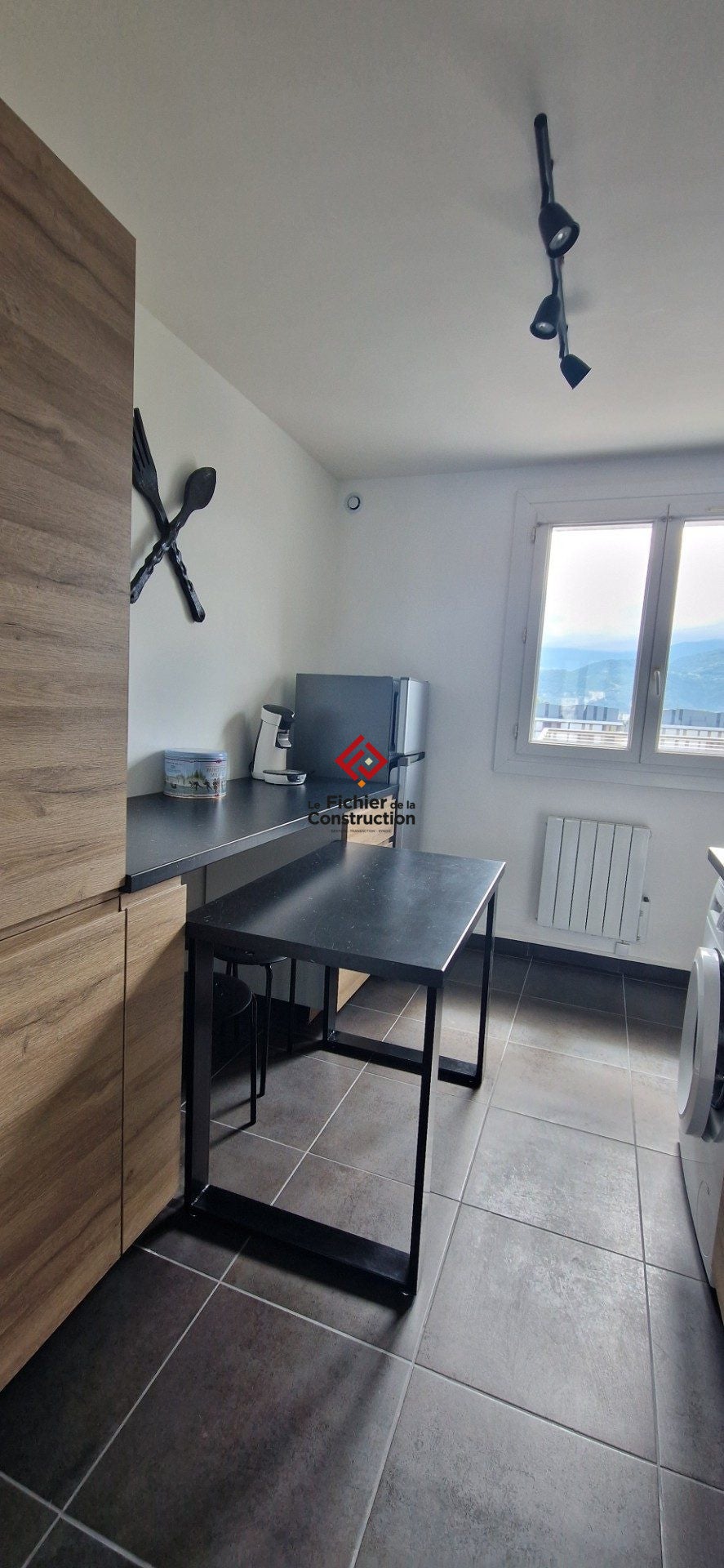 Flat Rue Leroy in Grenoble