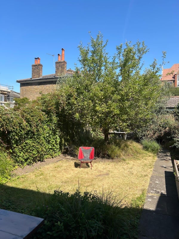 Room Wilman Grove in Greater London