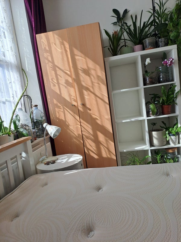 Room Shadwell Gardens in Greater London