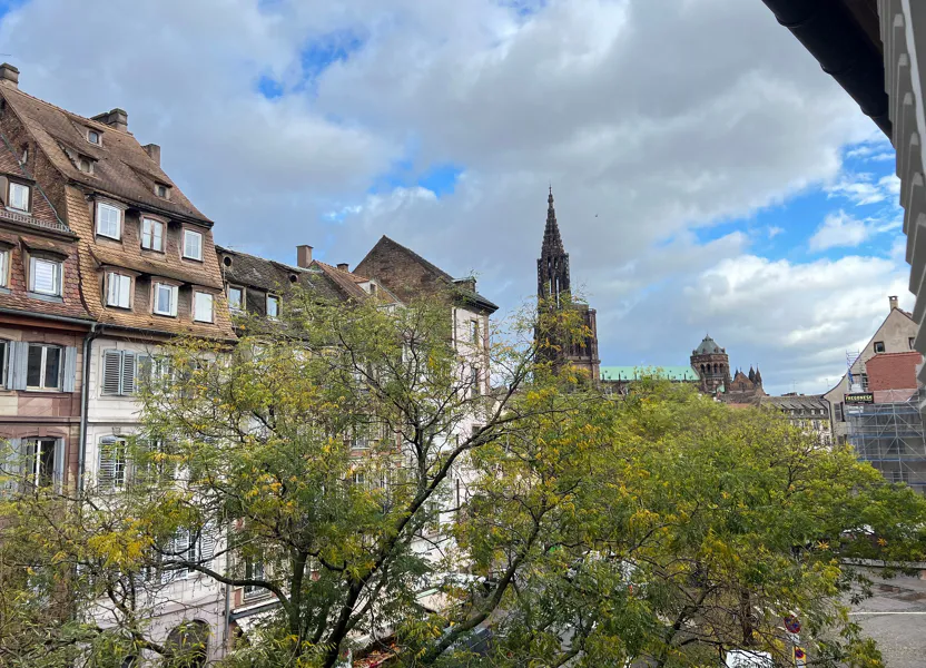 Appartement Rue des Bouchers à Strasbourg