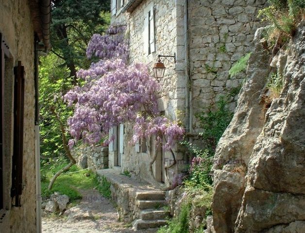 Maison Chemin des Marronniers à Montréal