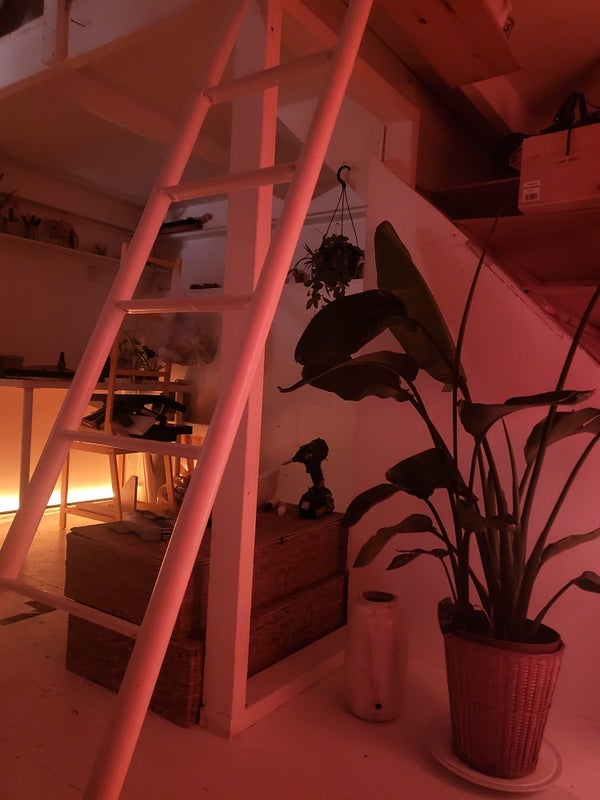 Room Pembroke Road in Greater London