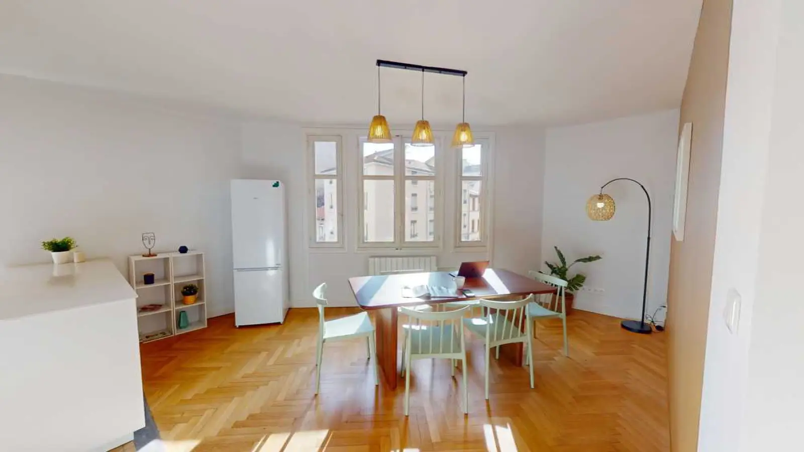Chambre Rue Béchevelin à Lyon