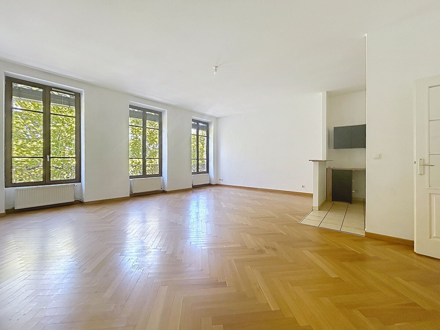 Flat Quai Claude Bernard in Lyon