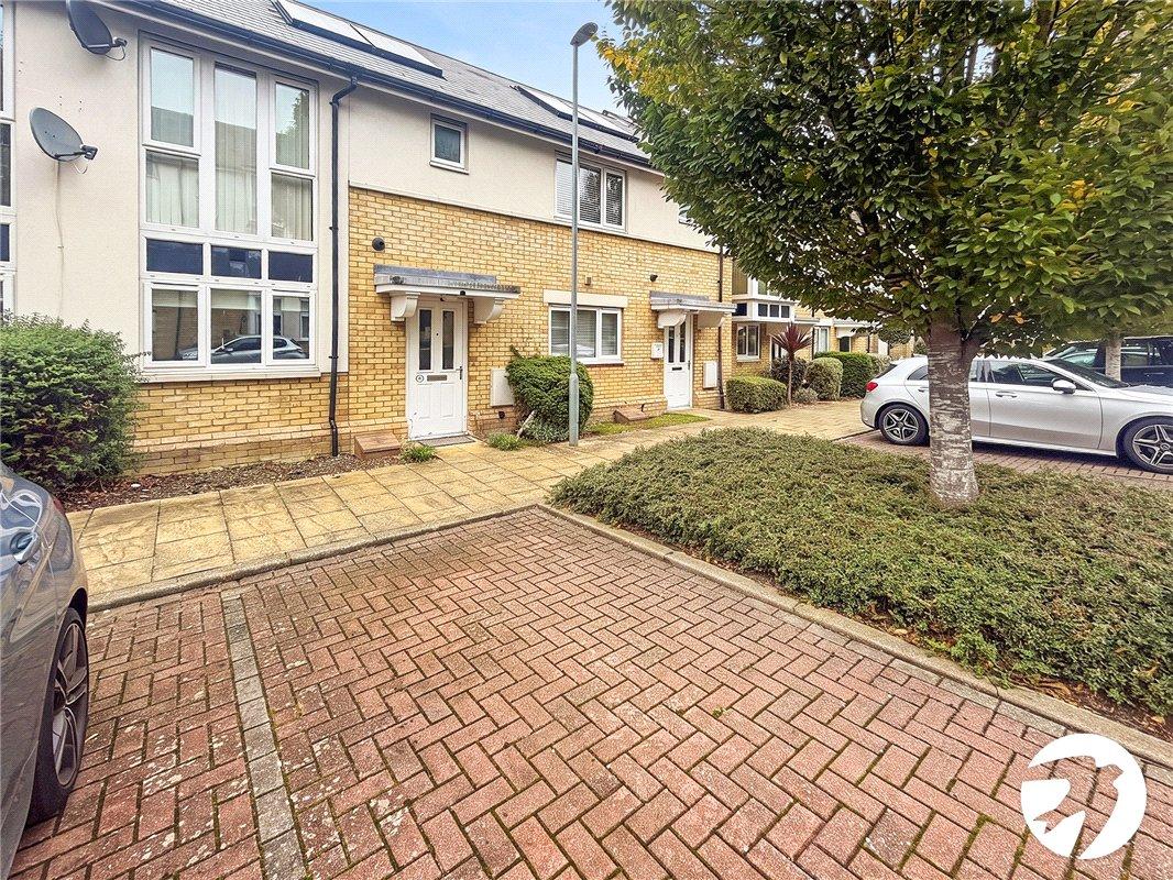 House Squirrels Close in Swanley