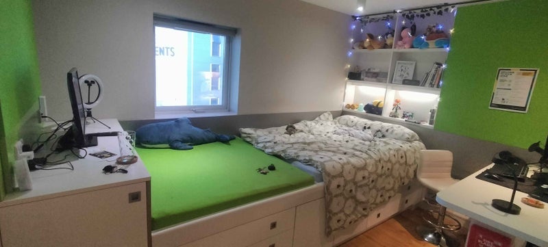 Room Windsor Road in Cardiff
