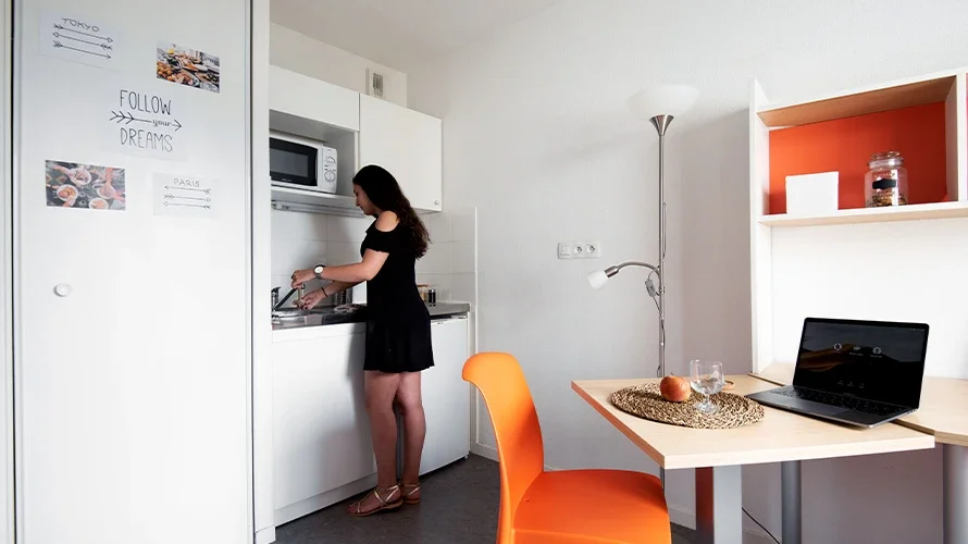 Chambre Rue Marcel Mérieux à Lyon