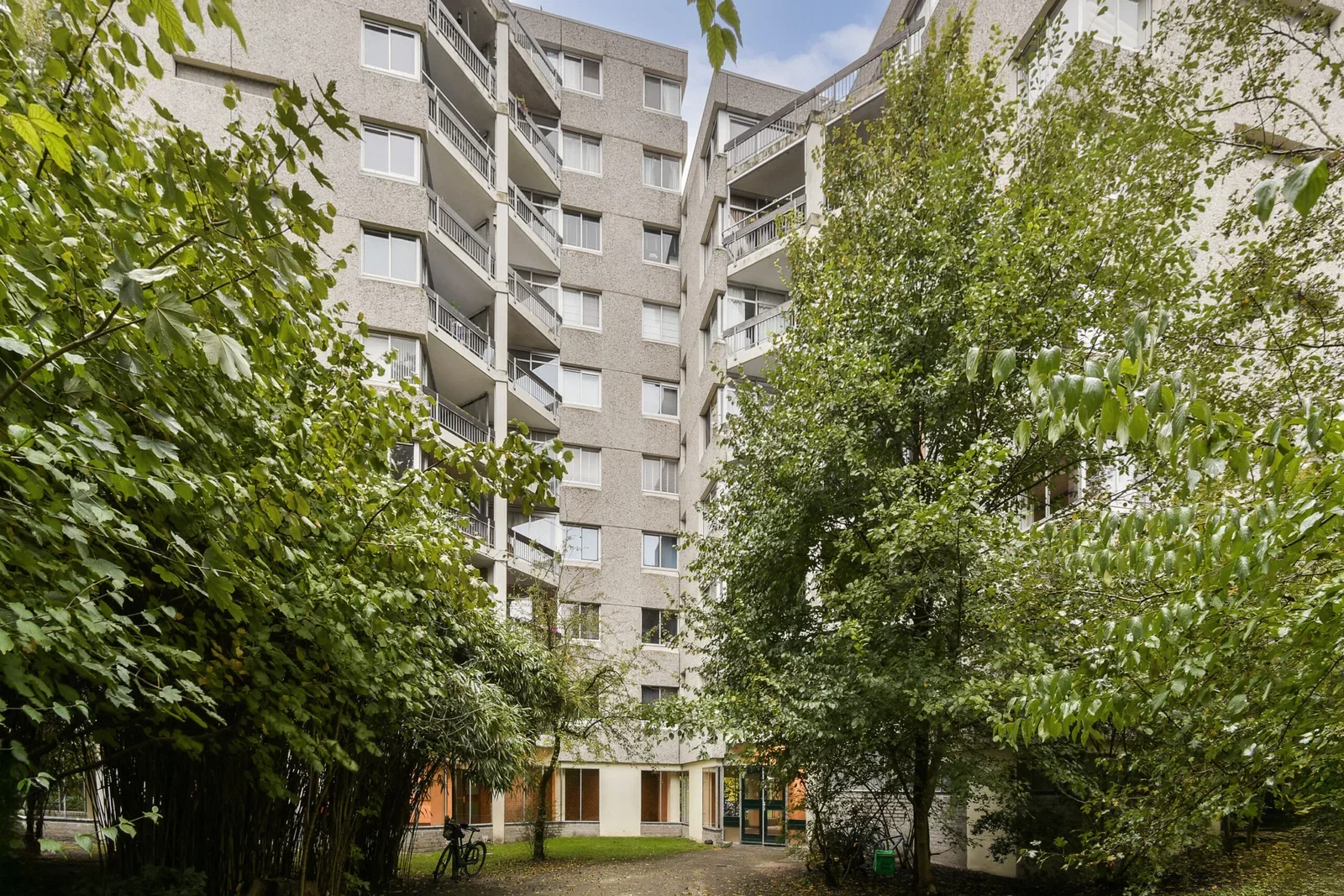 Groenhoven in Amsterdam