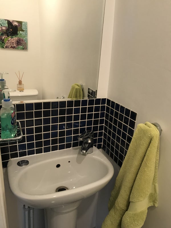 Room Falmer Road in Greater London