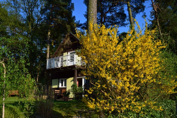 Wohnung Fercher Bergstraße in Schwielowsee