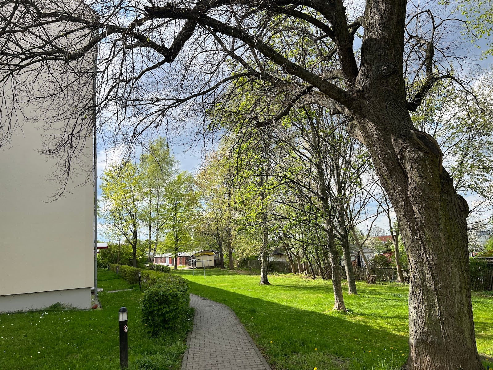 Wohnung Carl-von-Ossietzky-Straße in Chemnitz