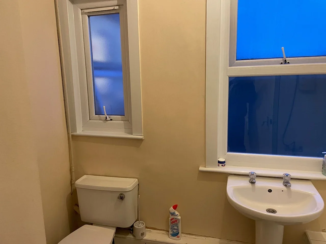Room Brownlow Road in Greater London