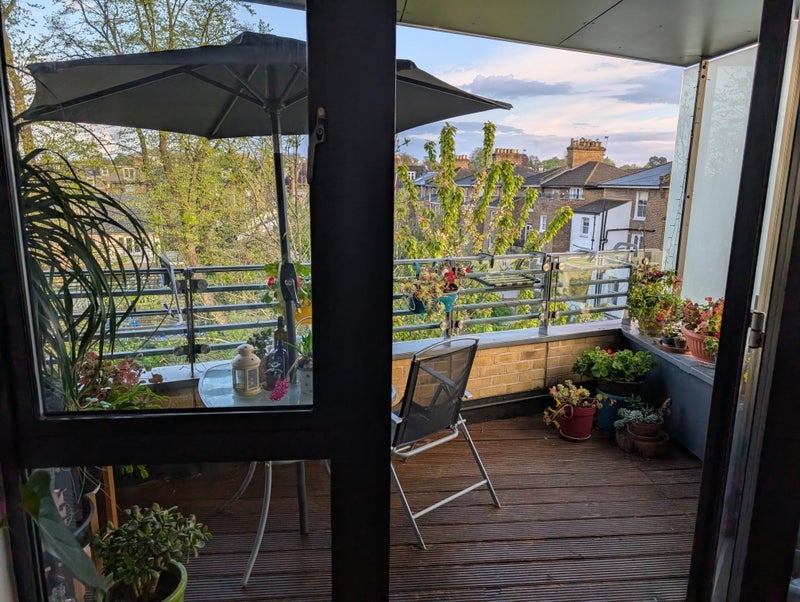 Room Brownswood Road in Greater London
