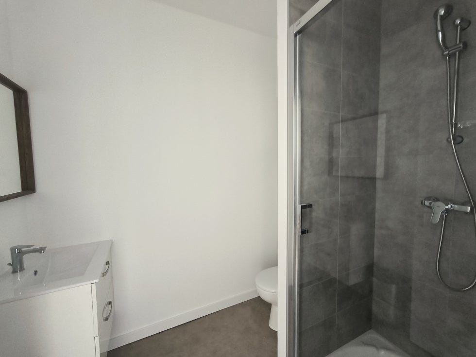 Appartement Rue Virgile à Saint-Étienne