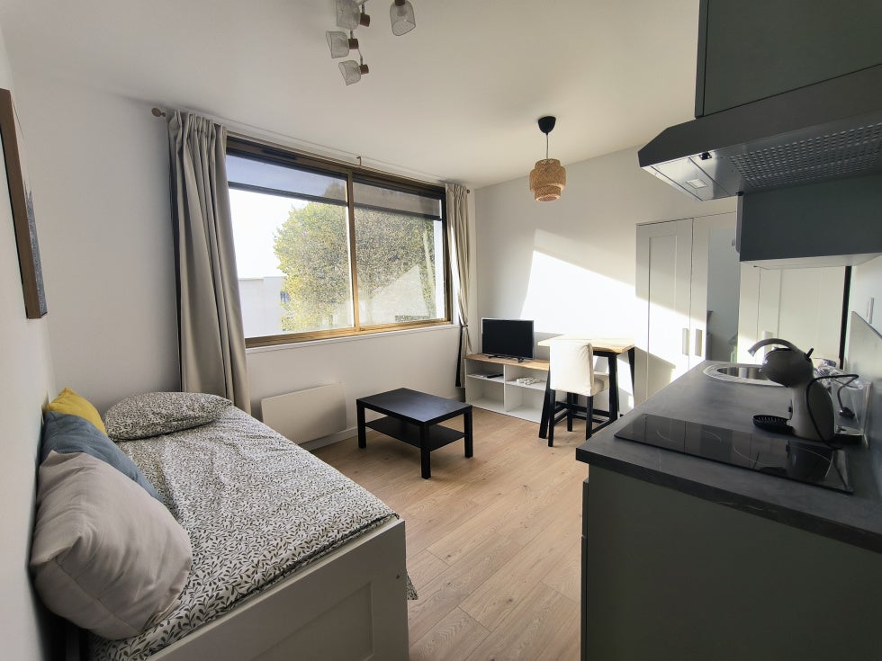 Appartement Rue Virgile à Saint-Étienne