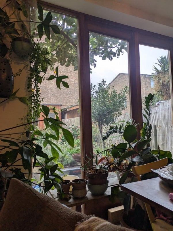 Room Pedro Street in Greater London