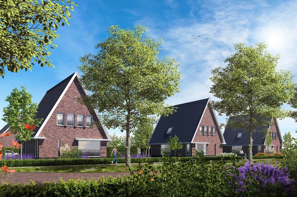 Bosplantsoen in Zevenhuizen