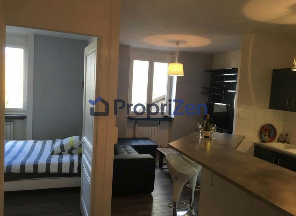 Appartement Cours Émile Zola à Villeurbanne