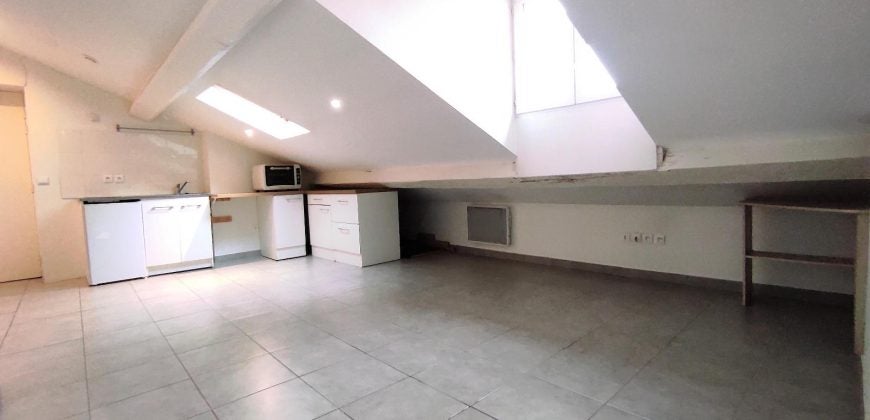 Appartement Cours Tolstoï à Villeurbanne