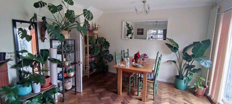 Room Lee Close in Greater London