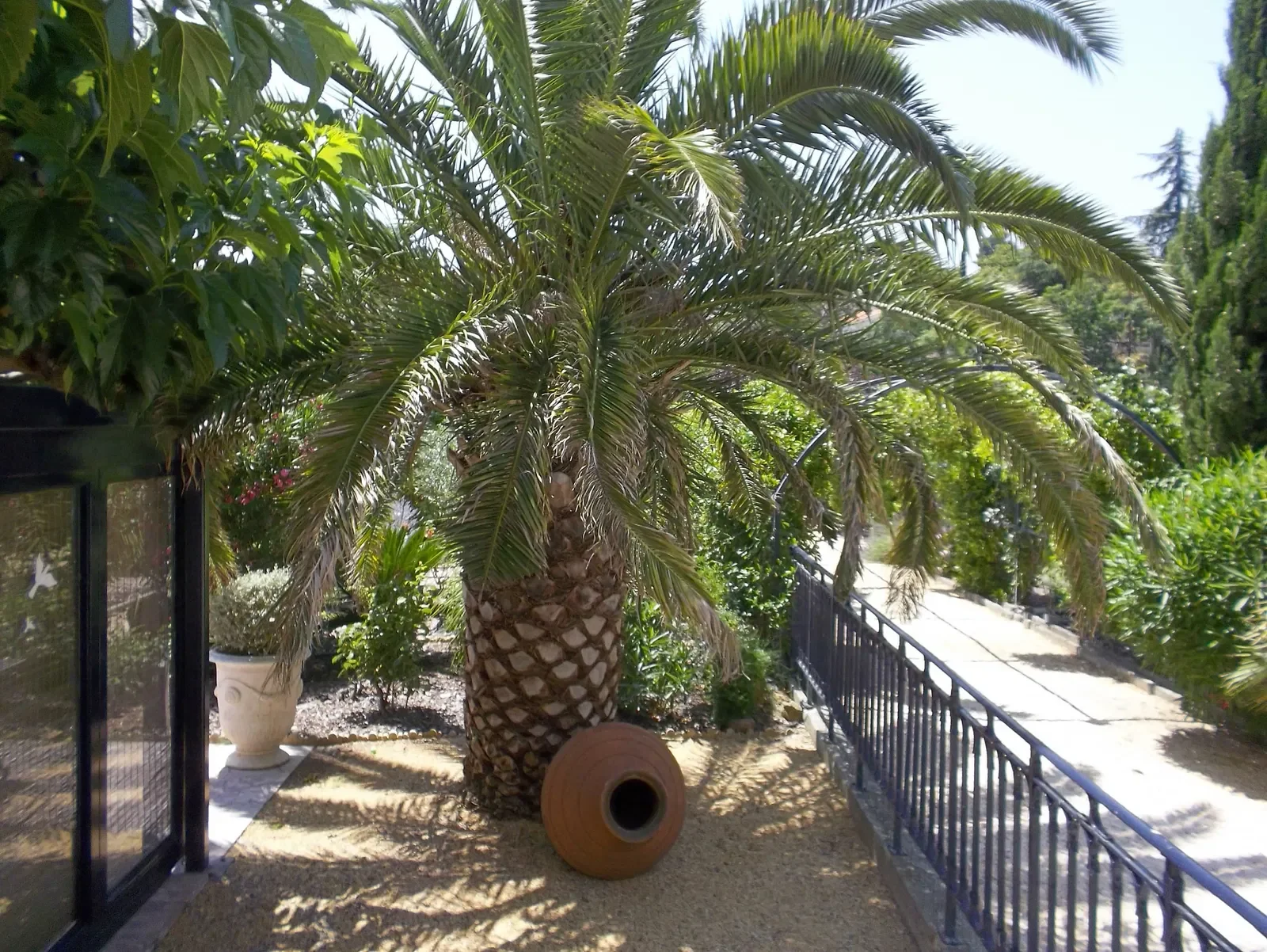 House Avenue de la Montagne Noire in Caunes-Minervois