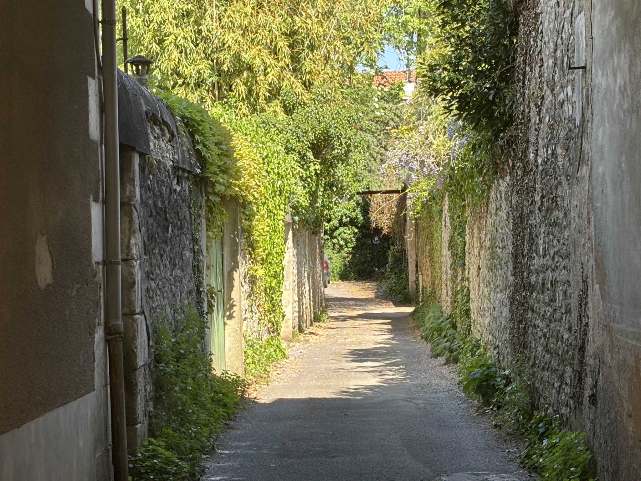 Flat Rue Sadi Carnot in Poitiers