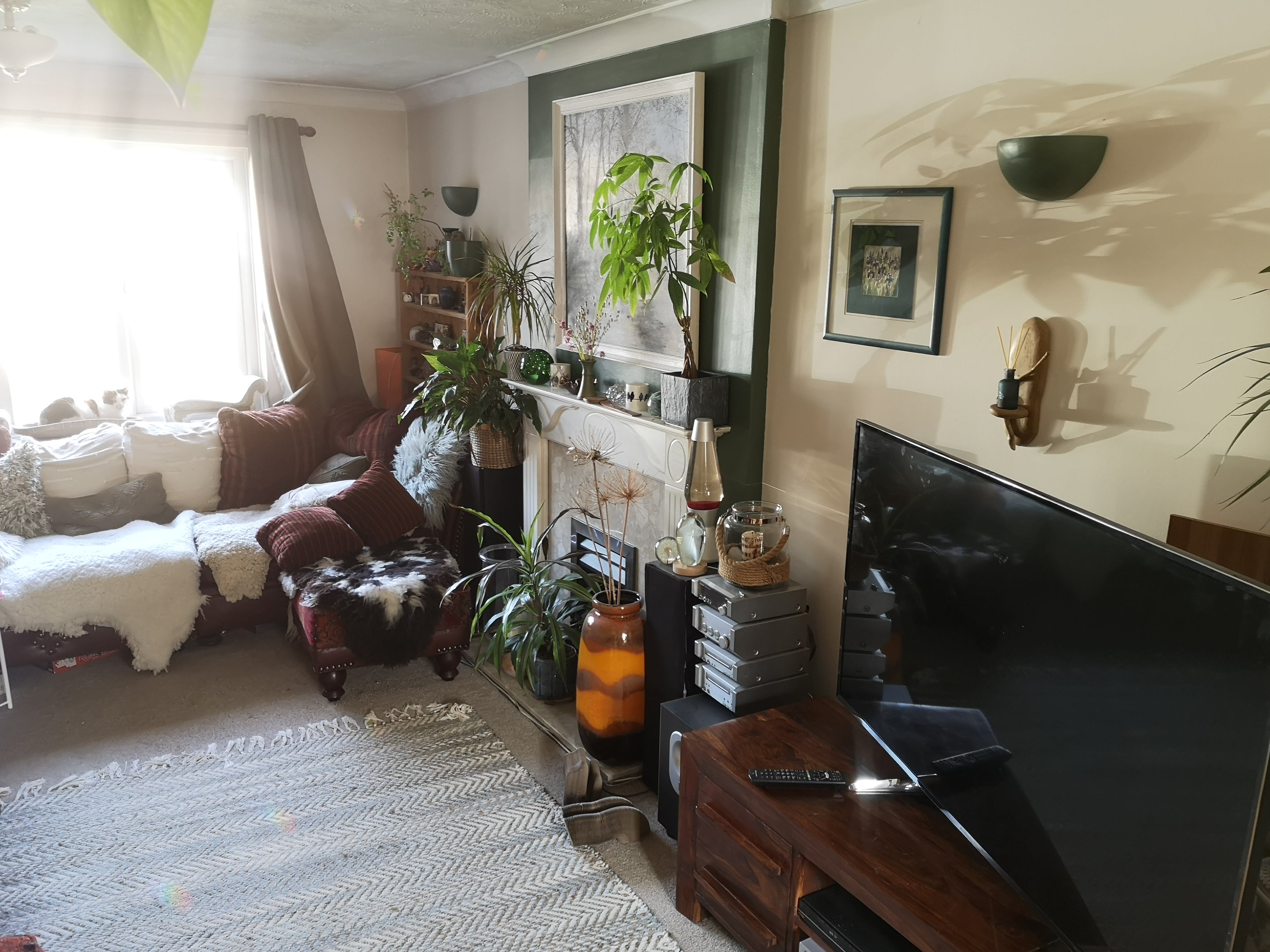 House Pine Close in Helston