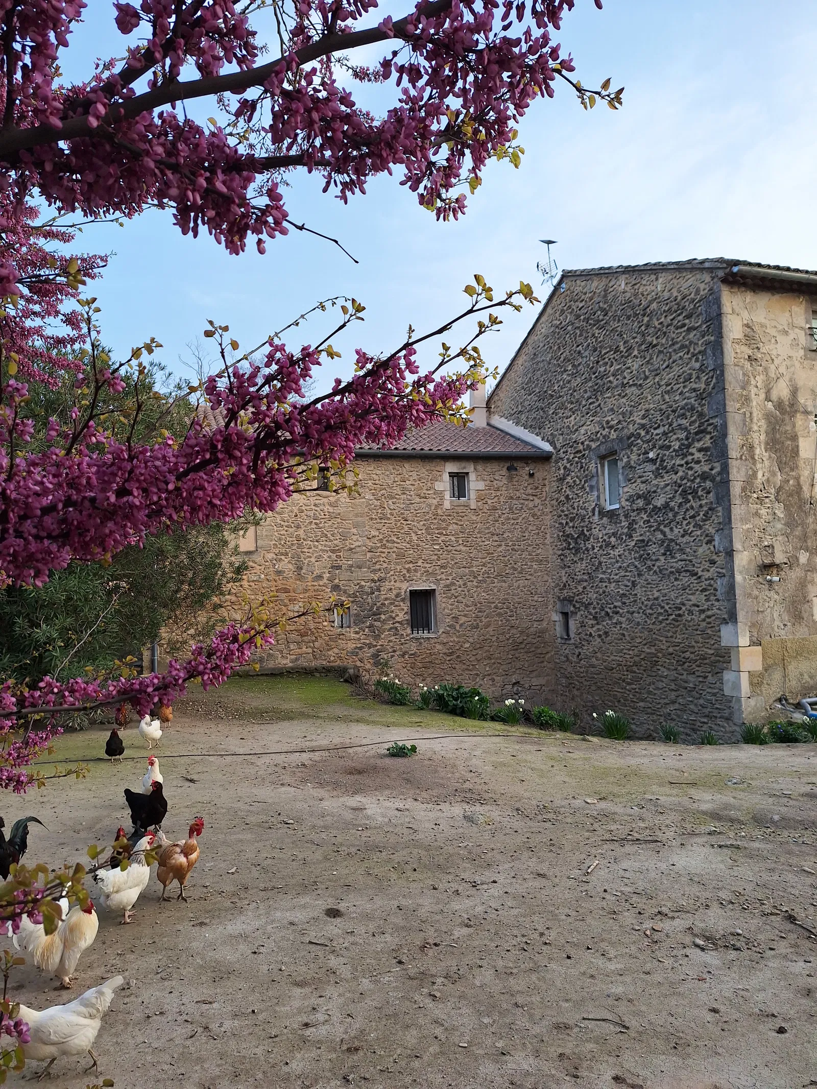 Flat Chemin de Bonpas in Avignon