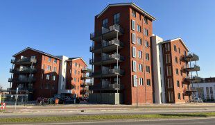 Flat Regenboogven in Veldhoven
