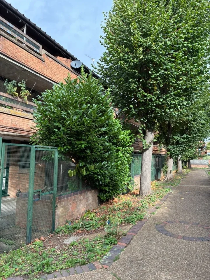 Flat Don Phelan Close in Greater London