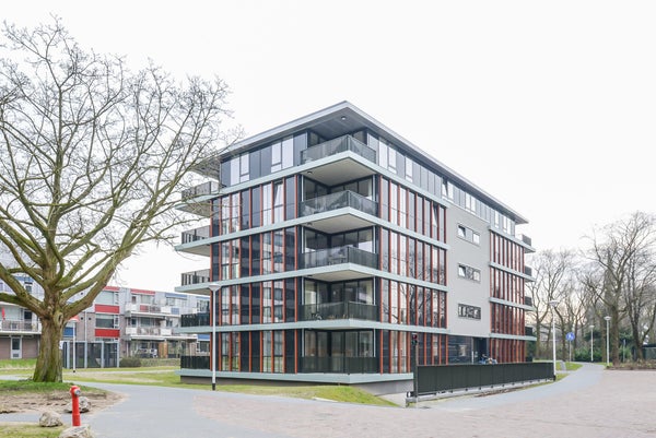 Professor Van Weliestraat
