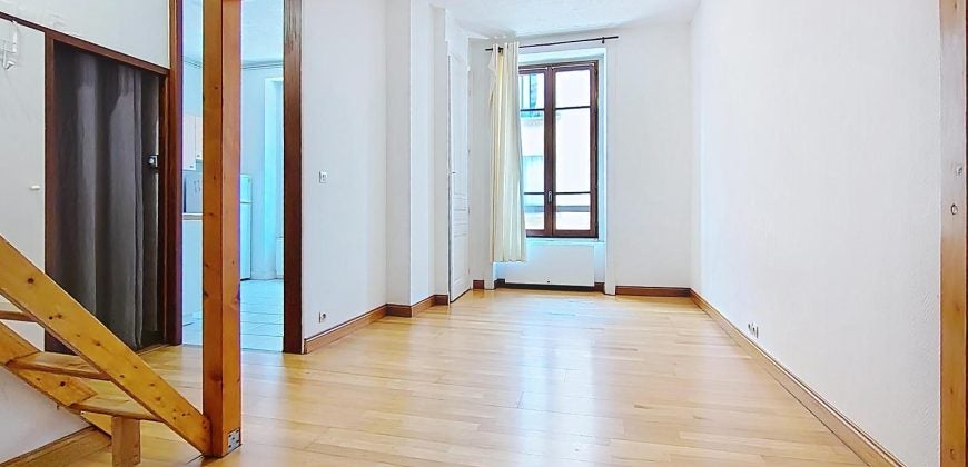 Flat Rue Francis Chirat in Villeurbanne