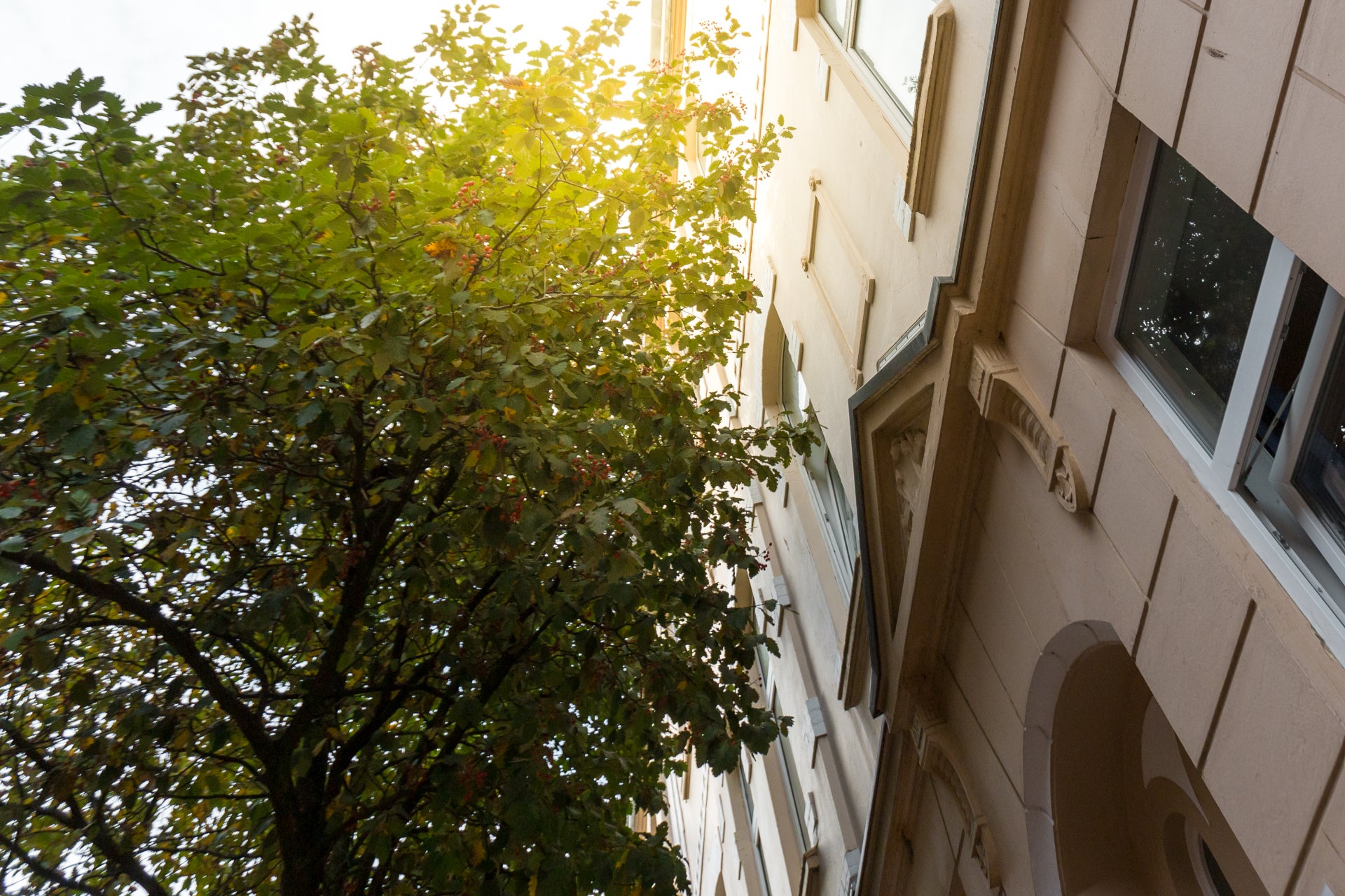 Wohnung Adolfstraße in Bremerhaven
