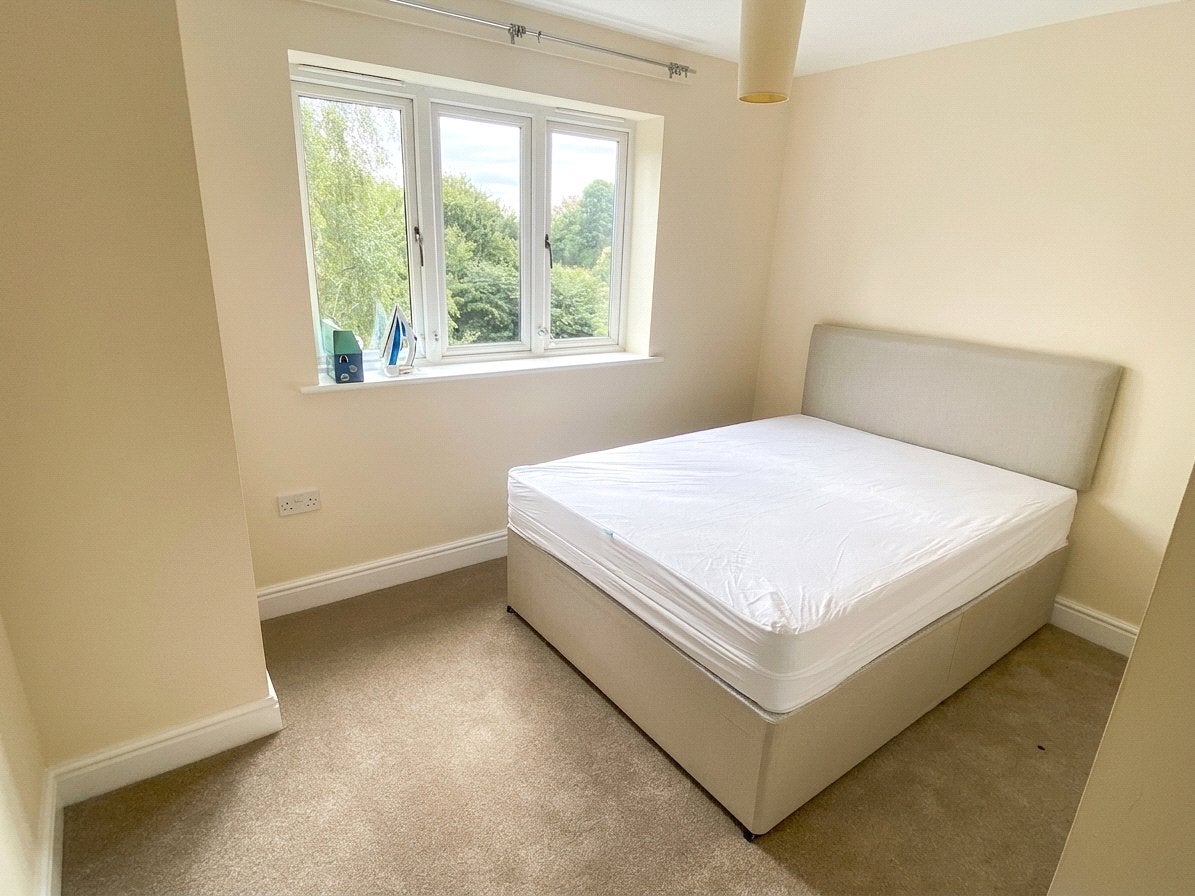 Flat Luscinia View in Reading