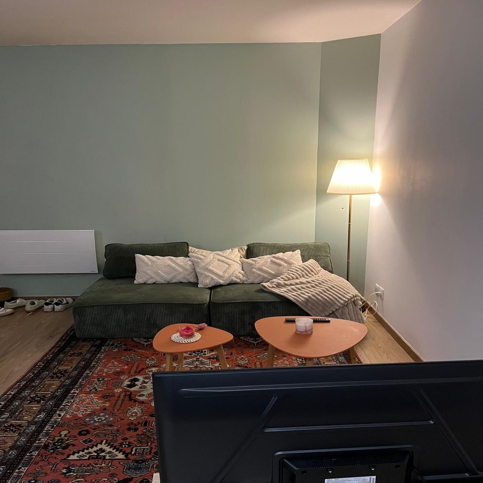 Appartement Rue Cuvier à Lyon