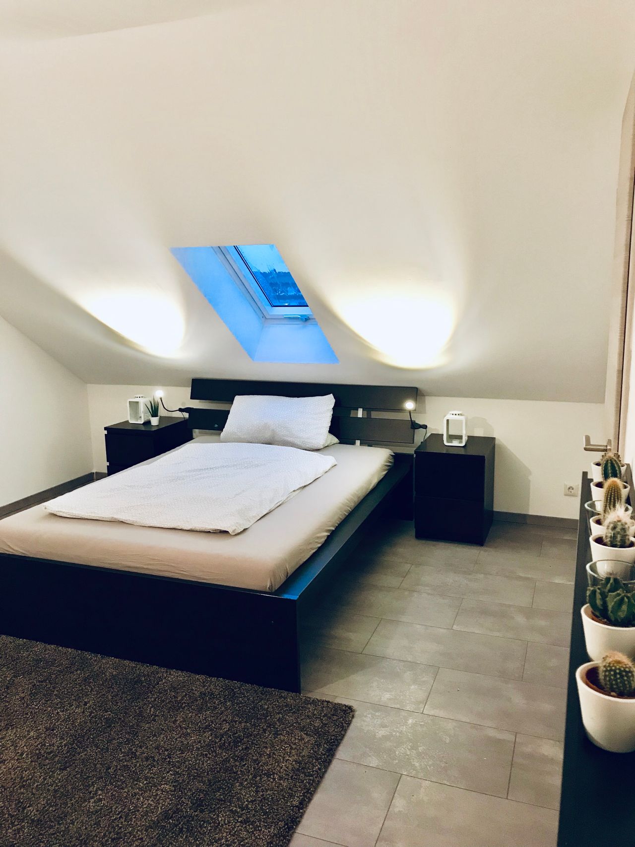 Wohnung Celler Straße in Braunschweig